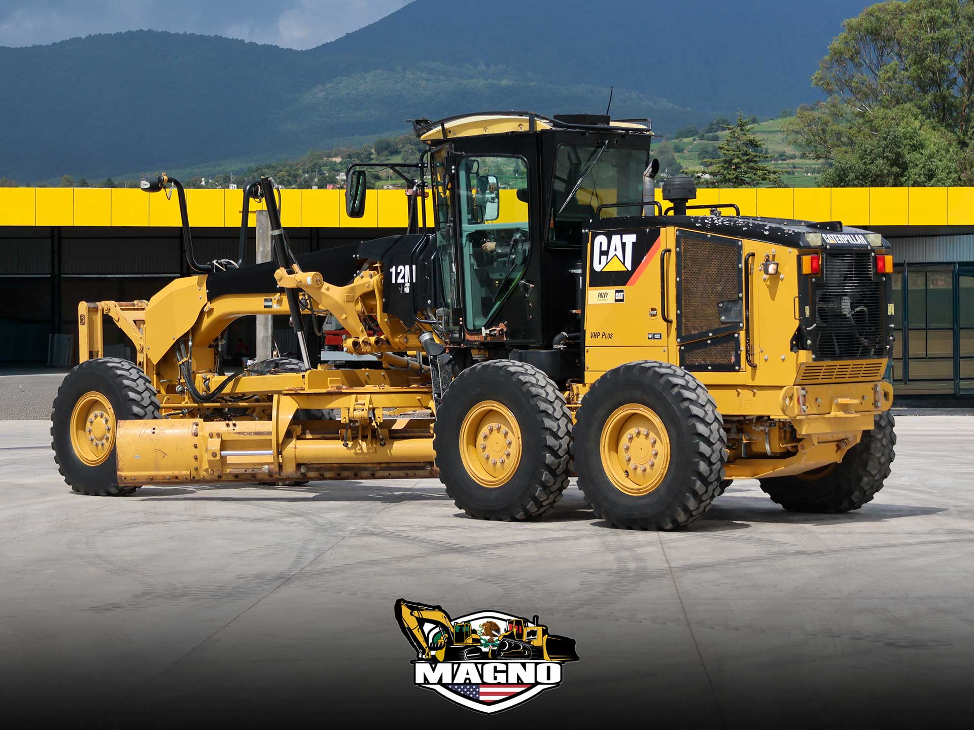 cat-12m-5