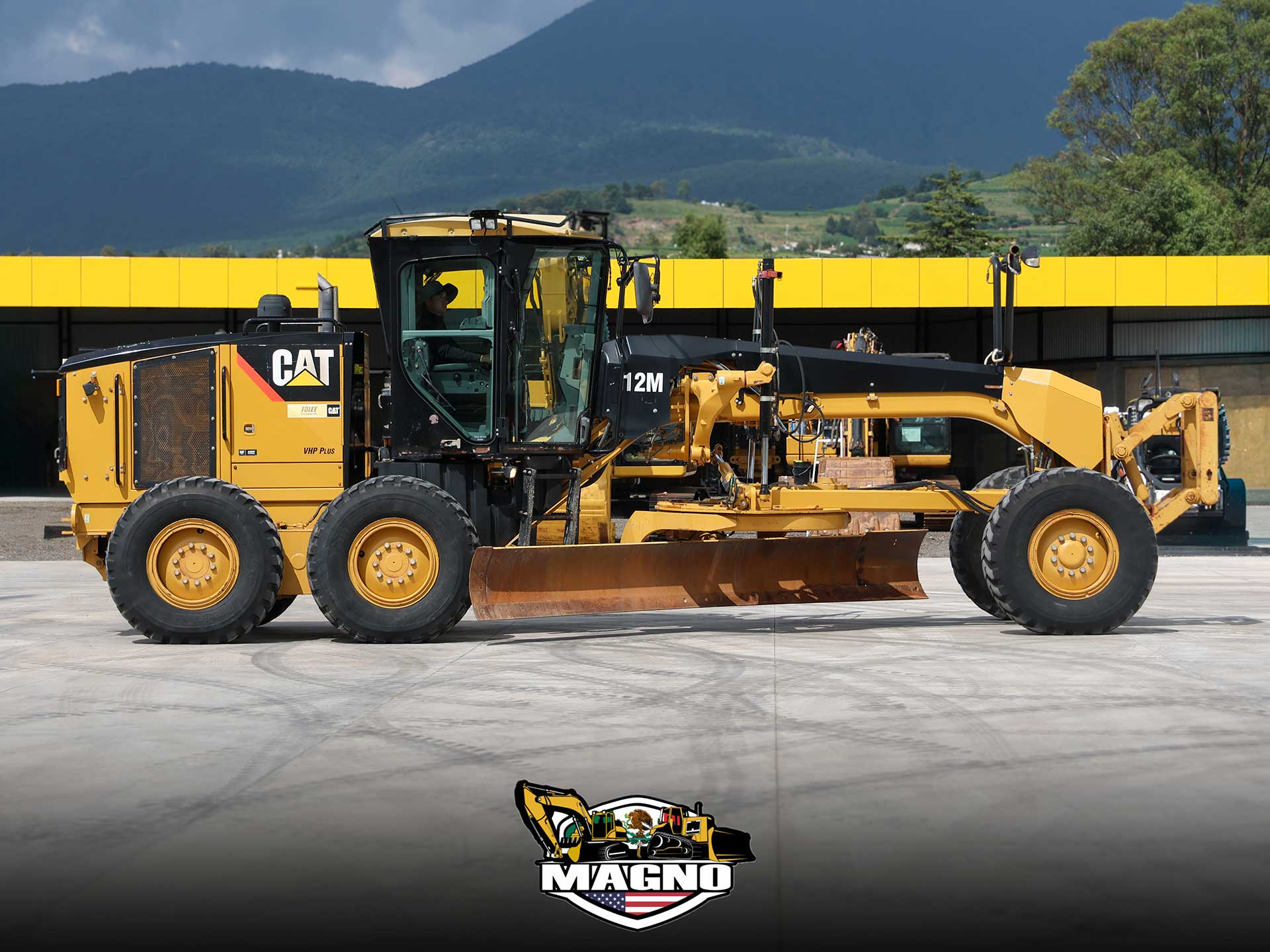 cat-12m-6