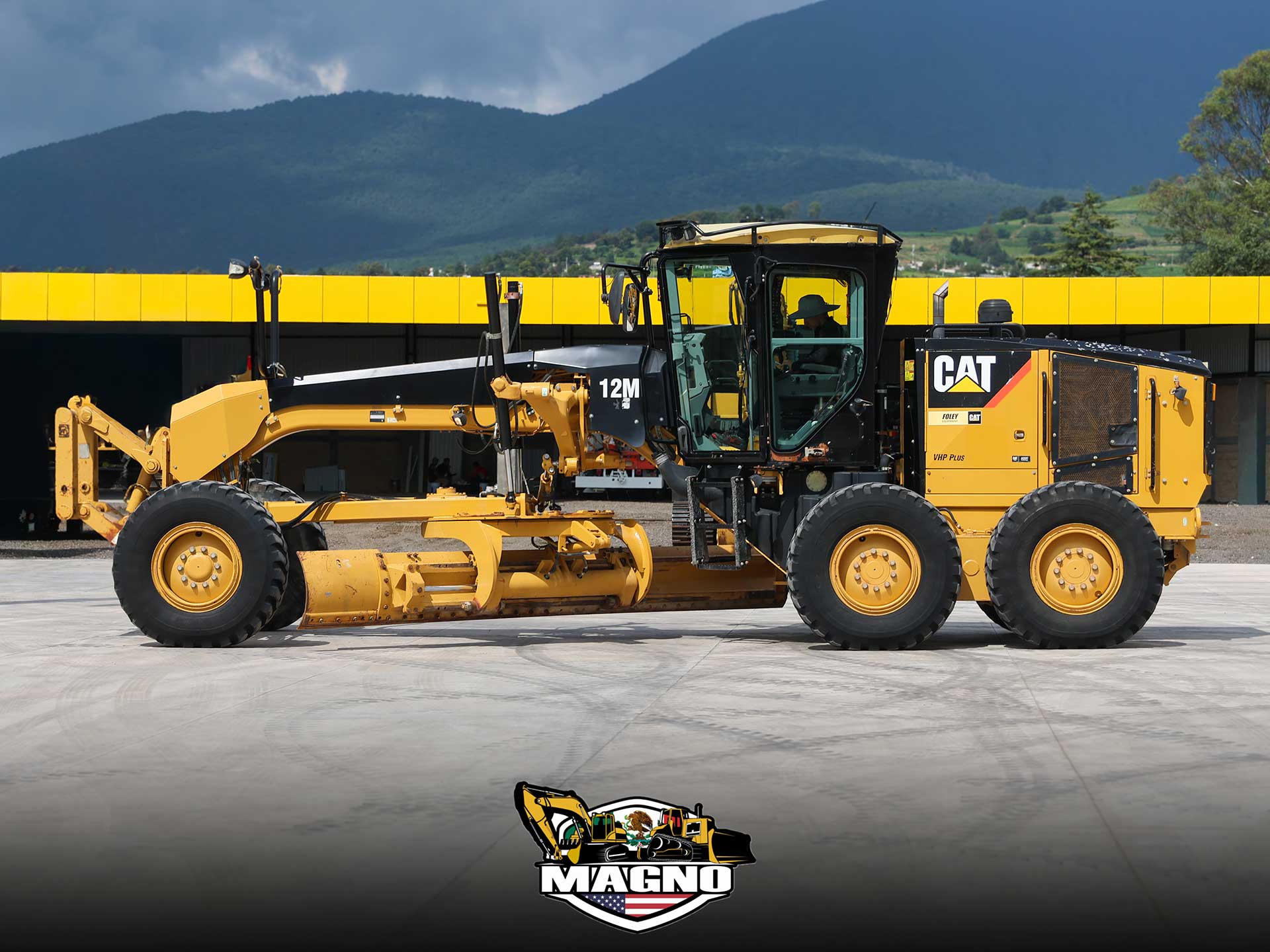 cat-12m-7